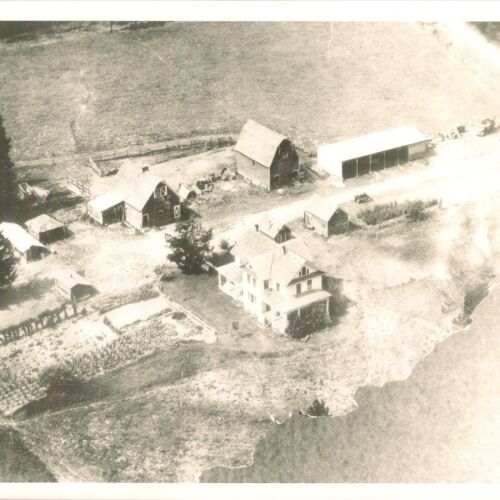 Just-Farm-Aerial-View