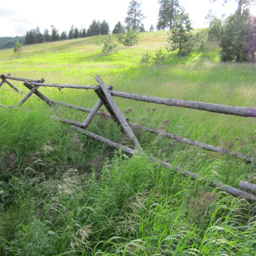 Upland view from bootjack fence