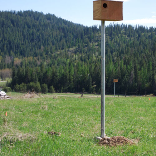 Just Farm owl boxes