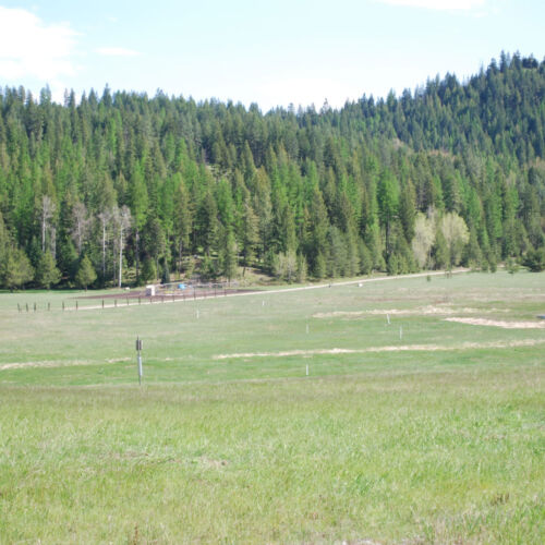 Just Farm with view of Pearson Meadow