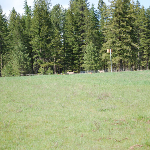 Just Farm reclaimed field