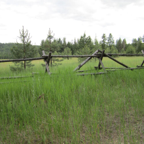 West view of Just Farm