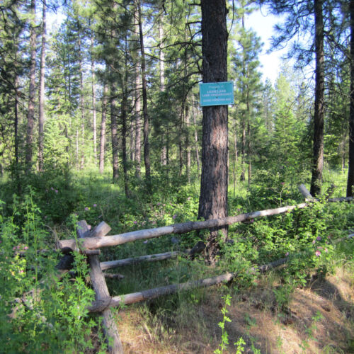 Morgan Wood sign