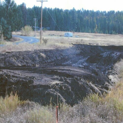 pearson-meadow-restoration-10