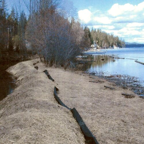 pearson-meadow-restoration-15