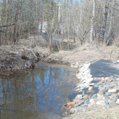 pearson-meadow-restoration-9