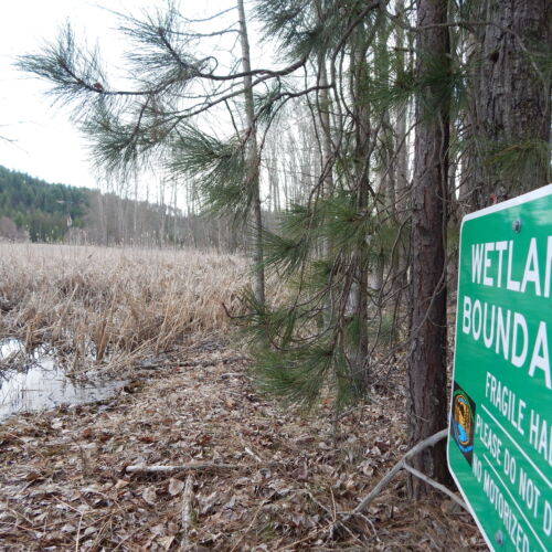 shawl-wetlands-boundary-2