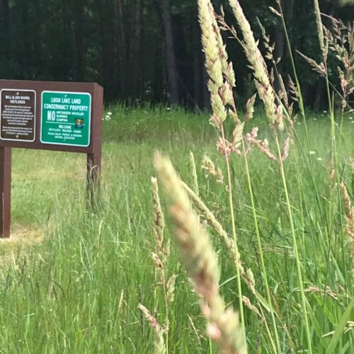 shawl-wetlands-sign