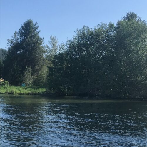 shawl-wetlands-water-view