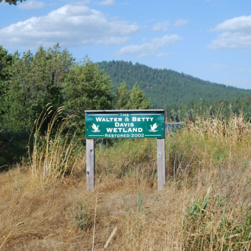 Walter & Betty Davis Wetland
