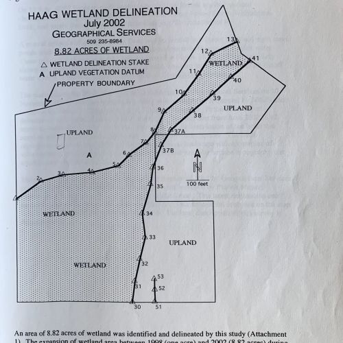Pearson - Haag wetland delineation 2002