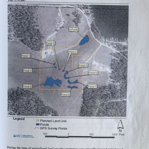 Pearson Meadow Pond Map 2003 p 21