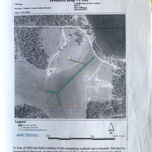 Pearson Meadow Wetland map - prior