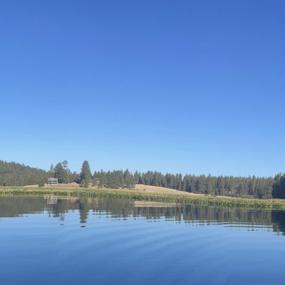 McVay Wetland CE